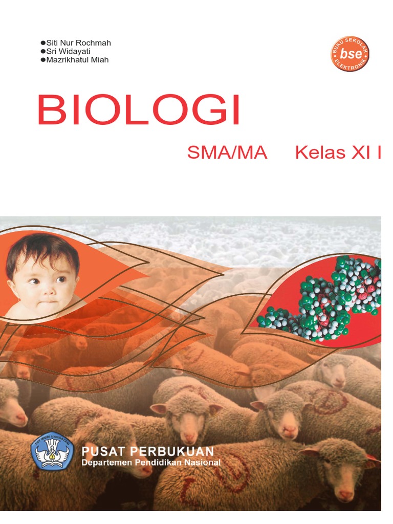 Buku Biologi Kelas Xi Erlangga Pdf