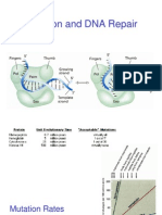 DNA Repair