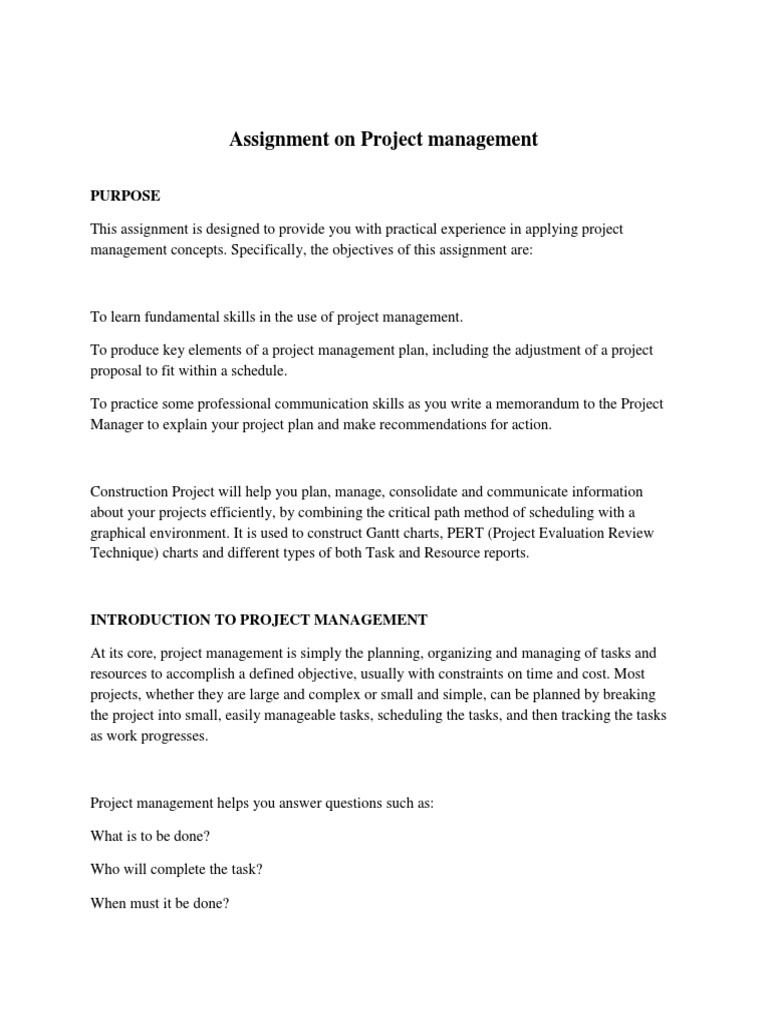 Project Management for Construction | PDF | Art