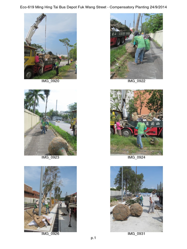 Bus Depot Planting Report | PDF | Business