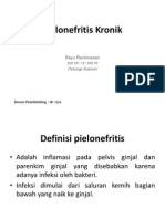 Pielonefritis Kronik