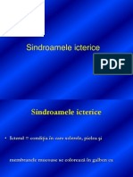 Sindroamele Icterice 