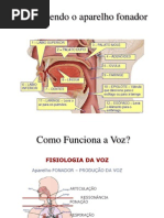 Conhecendo o Aparelho Fonador Neto