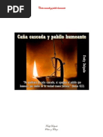 Caña Cascada y Pabilo Humeante