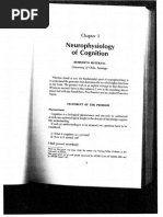 Maturana - Neurophysiology of Cognition 1970b