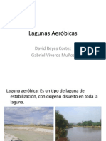 Lagunas Aeróbicas_Presentación (1)