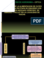Informe Cuyes PPT