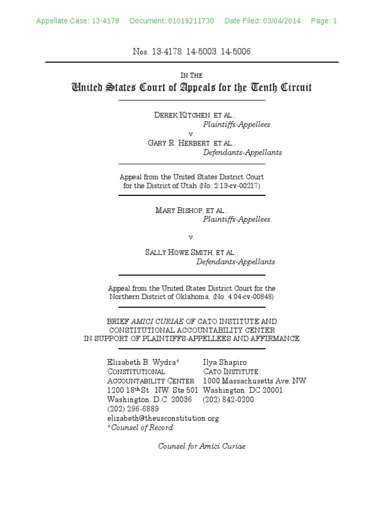 CAC Amicus Kitchen V Herbert | PDF | Fourteenth Amendment To The United ...