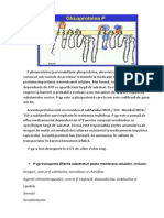 P Glicoproteina