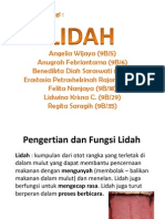 presentasi lidah