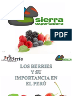 01 ANCASH MJT 01 - Los Berries y Su Importancia en El Perú