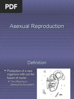 Download Asexual Reproduction by joshuabrussell SN2410105 doc pdf