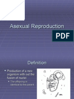 Asexual Reproduction