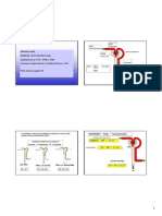 Funcion Renal W