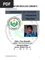 Download Bab 1 Pencemaran Air Terhadap Organisme Perairan Oleh Pino Rinando i by pinorinando SN241034791 doc pdf