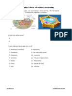 Actividades. Células Eucariotas y Procariotas