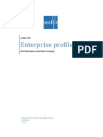 Aedilis UAB. Enterprise Profile 2010