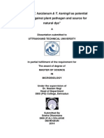 Screening T. Harzianum & T. Koningii As Potential Antagonist Against Plant Pathogen and Source For Natural Dye