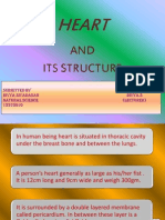 Heart and Its Structure