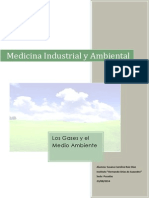 Trabajo Practico-Medicina Industrial