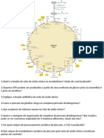 Ciclo Perguntas