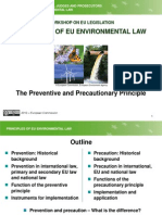 9 Preventive and Precautionary Principles - Revised