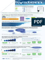 Big Data Analytics Ecosystem WW