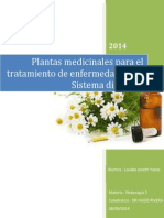 Plantas Medicinales Para El Tratamiento de Enfermedades Del Sistema Digestivo