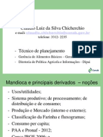 13_06_05_10_14_46_mandioca_e_derivados_-_nocao_produtos