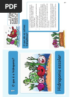 Hidroponia Na Escola FAO