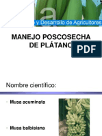 Clase4C Manejo Poscosecha Del Platano