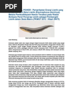 Download Electric Eel Power by Candra Setiawan SN241117395 doc pdf