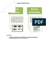 Cuadro Comparativo de Los Pescados