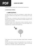 LINHAS DE CAMPO.doc