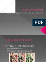 Wound Healing