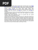 Download gnetum gnemon by Fahmy Ilman Silence SN241132491 doc pdf