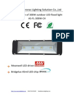 Auroras Lighting Specification of 300W Flood LightB