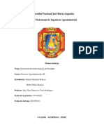 1 Informe de Extracción de Aceite Esencial de Eucalipto