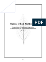 Manual de Arquitectura Foliar