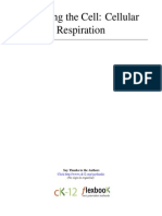 4-3 Powering The Cell Cellular Respiration