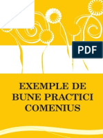 COMENIUS Ghid BunePractici