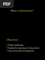 Download What is Multimedia by waqas Haider SN24118134 doc pdf