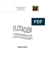 Flotacion - Fundamentos y Aplicaciones (Sergio Castro).pdf