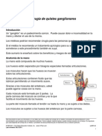 Ganglion PDF