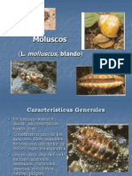 MoluscosCaracterísticasGeneralesFiloAnimal
