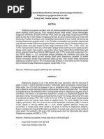 Download streptococus pyogenes by Daverly malonda SN241198640 doc pdf