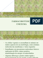 0 2009 histologia vegetal_______1 (2)