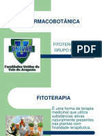 01 Trabalho Fitoterapia - Grupo 6