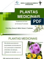 Plantas medicinais mais usadas