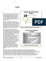 Renal Ana and Physio